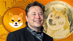 Shiba Inu Extends a Playful Invitation to Elon Musk
