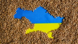 The Crypto Industry in Ukraine: Why MiCA Is Too Onerous a Regulation