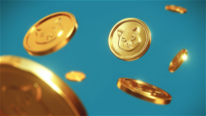Shiba Inu Coin's Remarkable Rise and What's Next