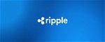 Ripple CEO Warns of Damage to Crypto Industry If SEC Wins XRP Case